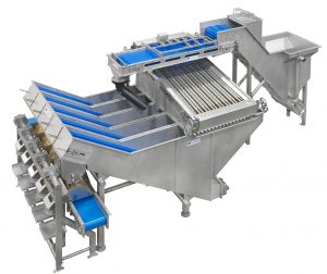 Mussel sorter